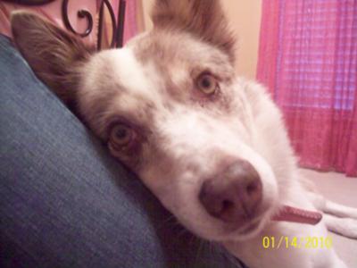 She posed perfectly as soon as she saw that camera :)