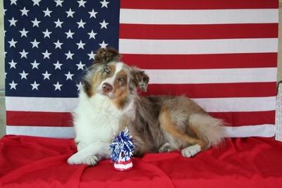 My All American Girl