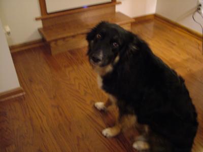 Thanks To Sue and Kyrsten ... Tahoe