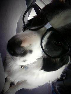 MY CUTE LiTTLE DORK n_n