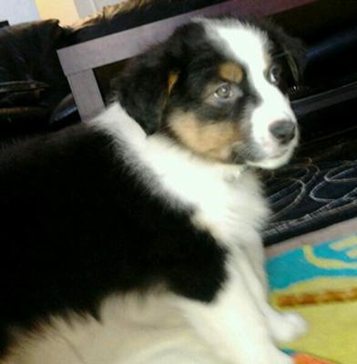 this pic was @ 9wks old