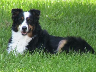 *~.Our Beloved Maddie.~*