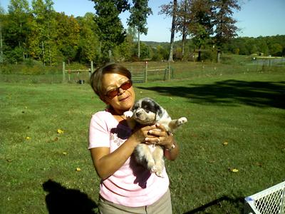 Day we decided to pick him from Breeder