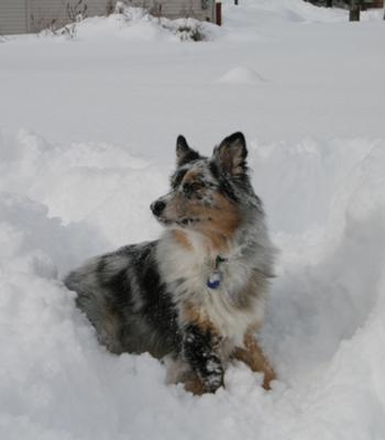 His first big snow day!!