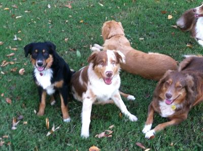 Patches poses with his Mom and sister