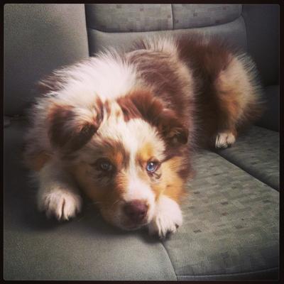 This is his demeanor