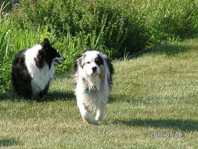 Wait - where's the water?