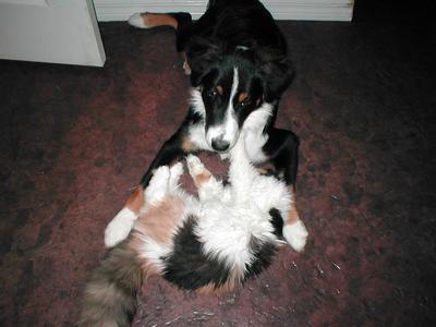 Playing with Glitter