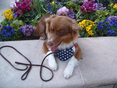 This is the Great Life