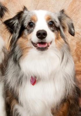 Rosie, November 2013