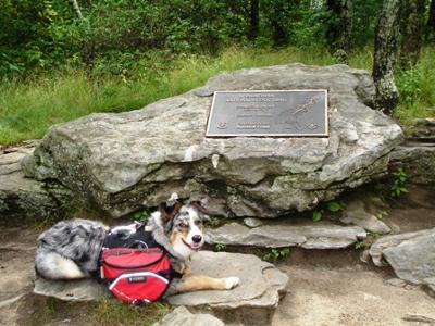 Sampson, my Hiking Buddy