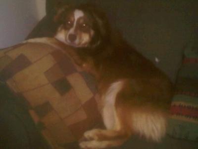 a year and a half later, lounging around like she owns the place ;)