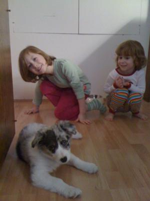 Teemo with the girls