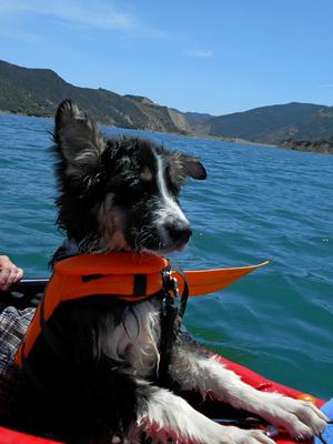 Coolest Dude on the Lake! 