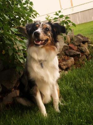 Vinni Posing for camera