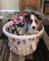 Helping Mom with the laundry 
