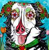 Bella the Australian Shepherd, Copyright RobiniArt 2013