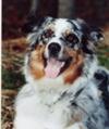 Patti's Lawman Dillon May 12, 1995-June 24, 2007