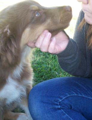 Toby likes the be the star of the pic ;)