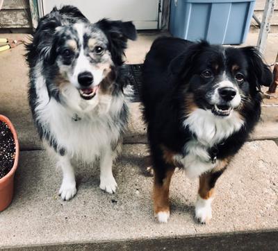 Vinni and Gidget posing