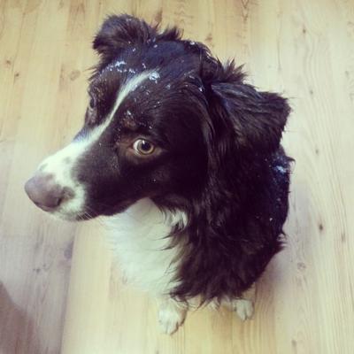 Korben when he's calm