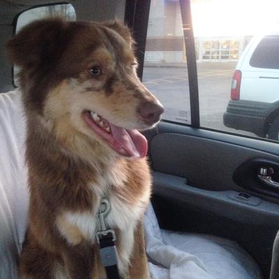 On the way home from adoption!