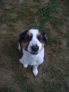 'Penelope' after her first 