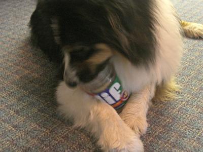 Wicket the jar cleaner