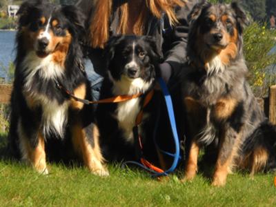 The kiddos, Conway, Heidi, and Tank