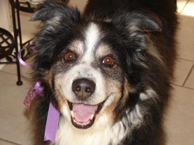 Yeti - A dear friend