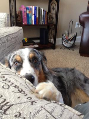 Zia playing peek-a-boo